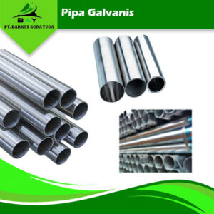 pipa galvanis