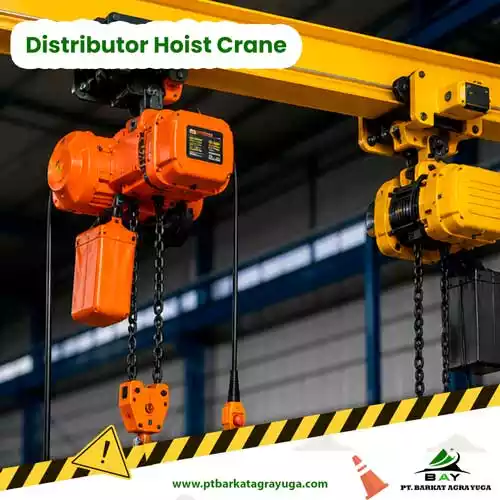 Distributor Hoist Crane